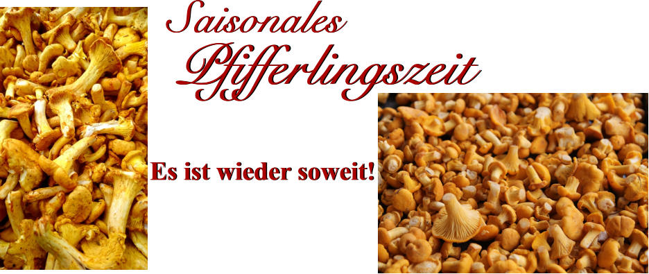 Saisonales Saisonales Pfifferlingszeit Pfifferlingszeit Es ist wieder soweit! Es ist wieder soweit!