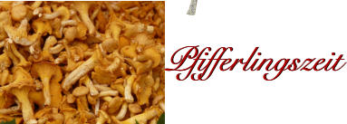 Pfifferlingszeit Pfifferlingszeit